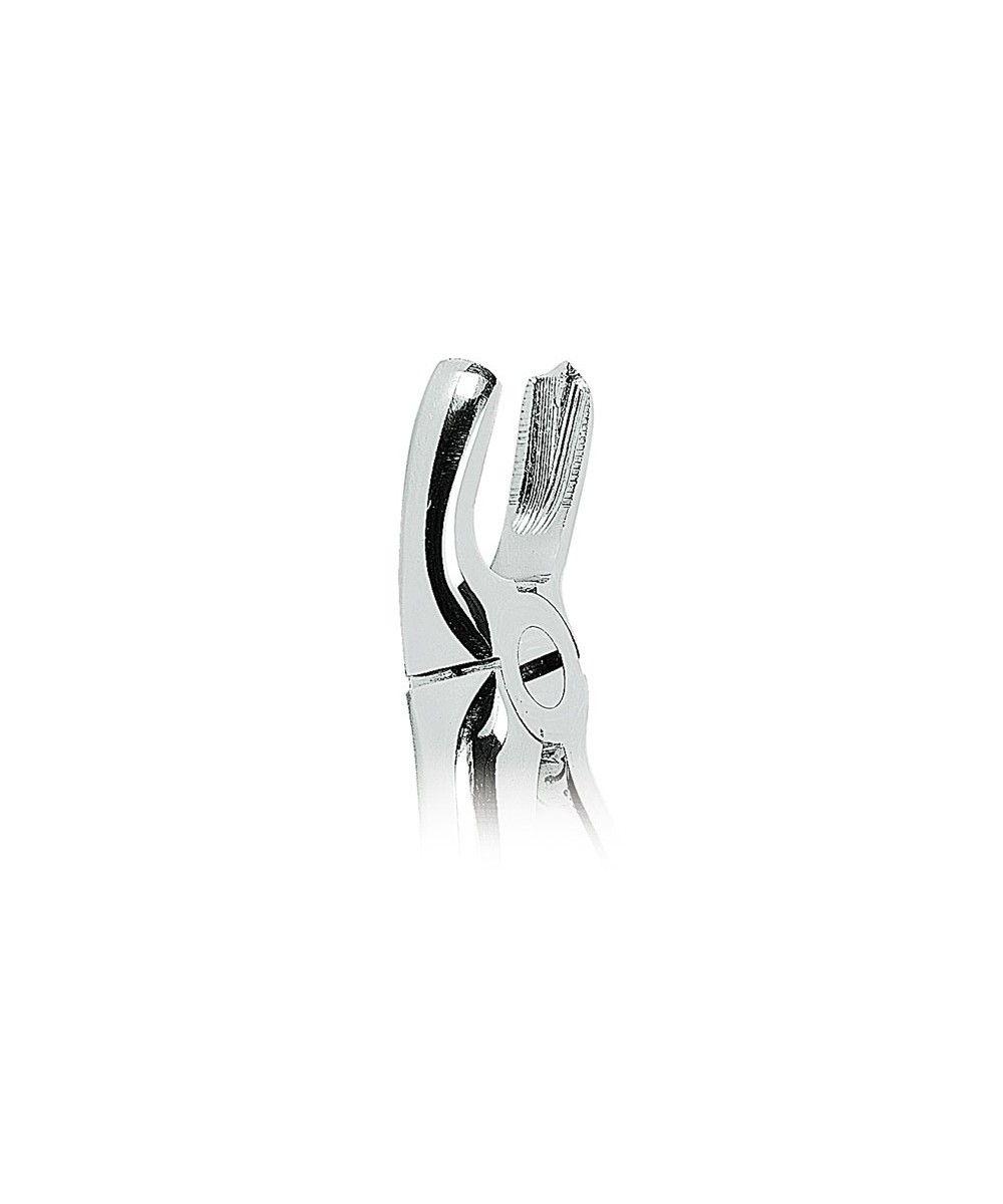0100-18 FORCEPS MOLARE SUP. IZQ.