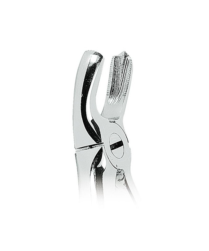 0100-18 FORCEPS MOLARE SUP. IZQ.