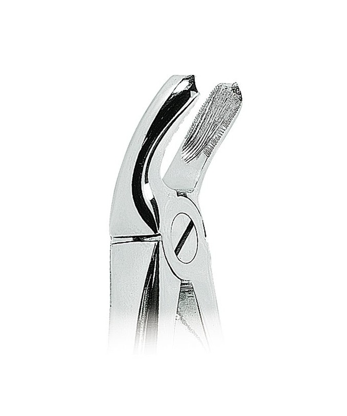 0100-20 FORCEPS MOLARES INF.