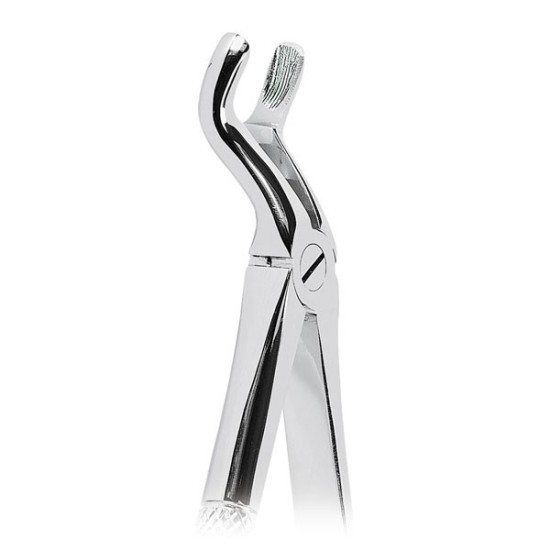 0100-67A FORCEPS CORDAL SUP.