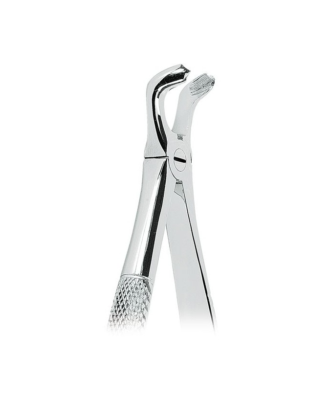 0100-79 FORCEPS CORDALES INFERIORES