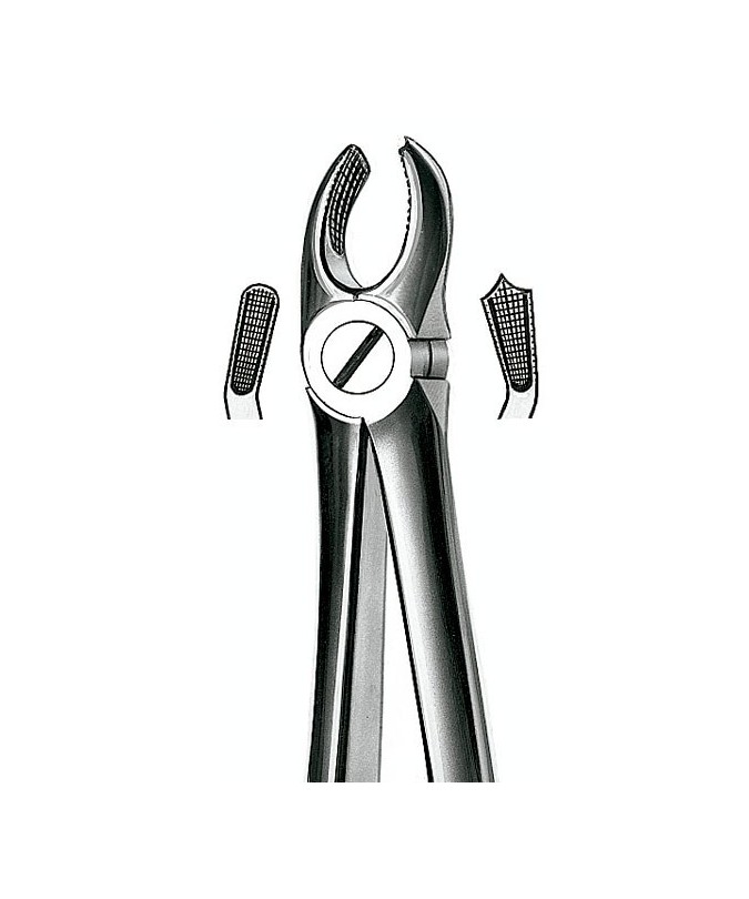 17 FORCEPS MOLAR SUP. DERECHO