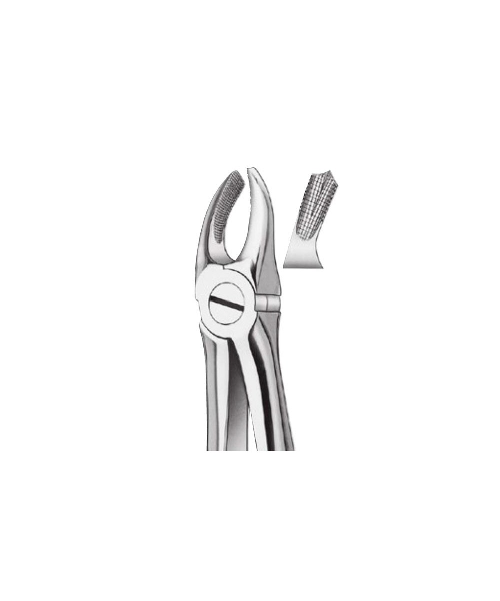 17K FORCEPS NIÑOS MOLAR DCHO.