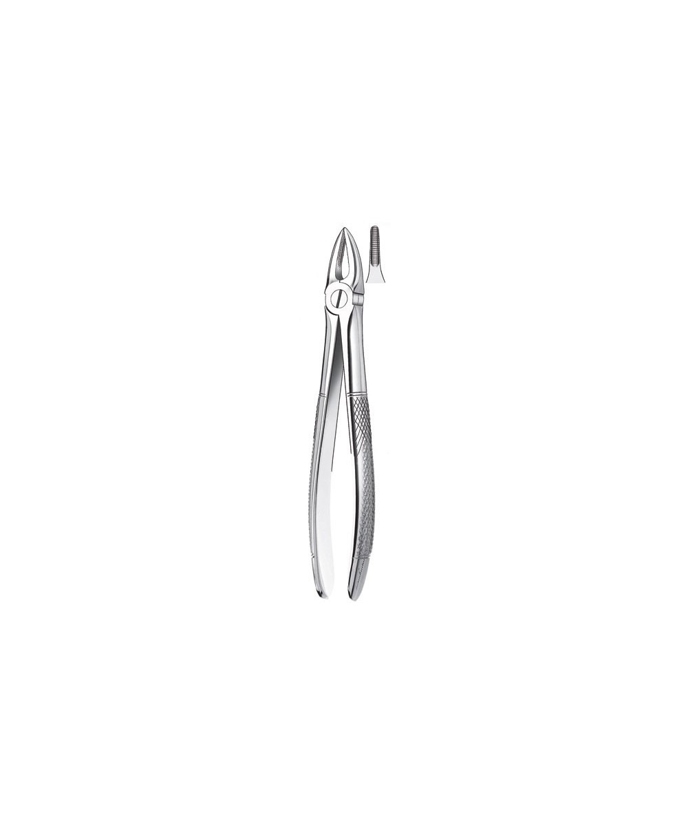 29 FORCEPS