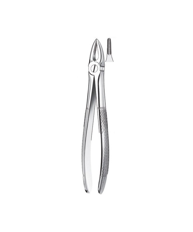 29 FORCEPS