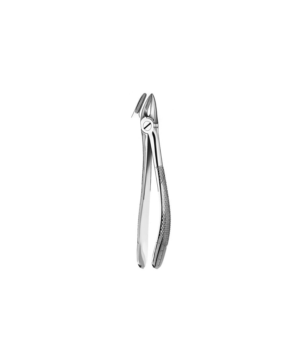 30 FORCEPS RAICES SUPERIORES