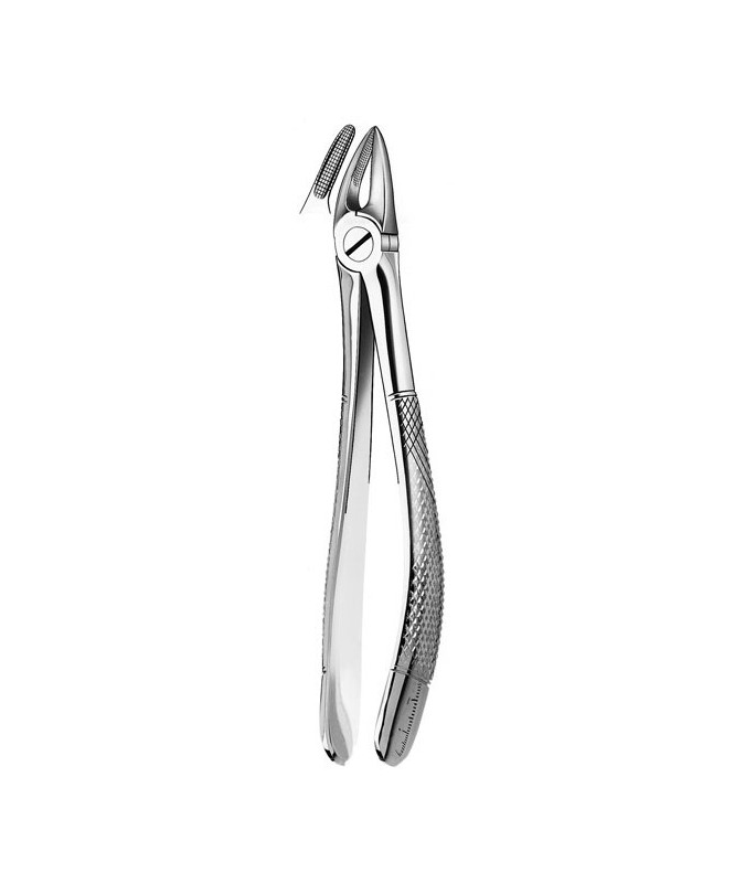 30 FORCEPS RAICES SUPERIORES