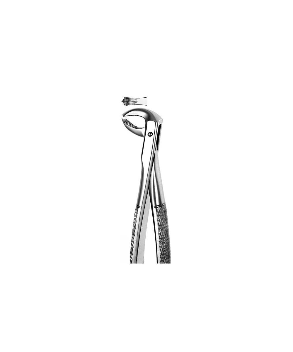 M73 FORCEPS PREMOLAR INF