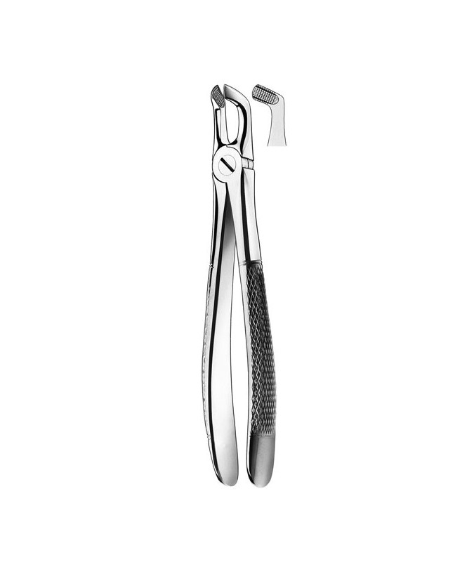 E79A FORCEPS CORDAL INFERIOR