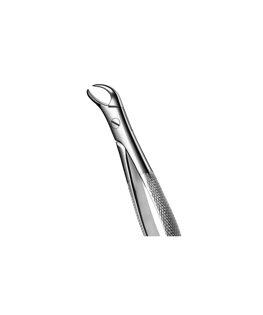 87 FORCEPS MOLARES INFERIORES