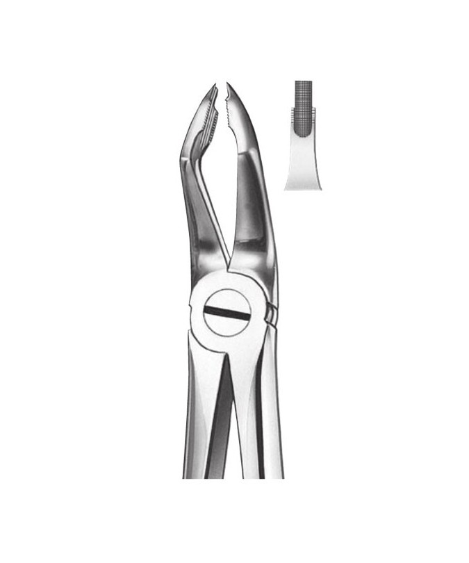 M117 FORCEPS MOLARES SUPERIOR.