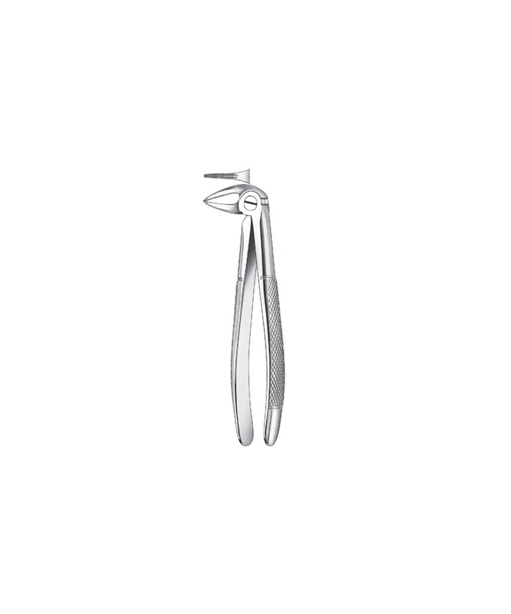 133 1/2 FORCEPS RAICES INFER.