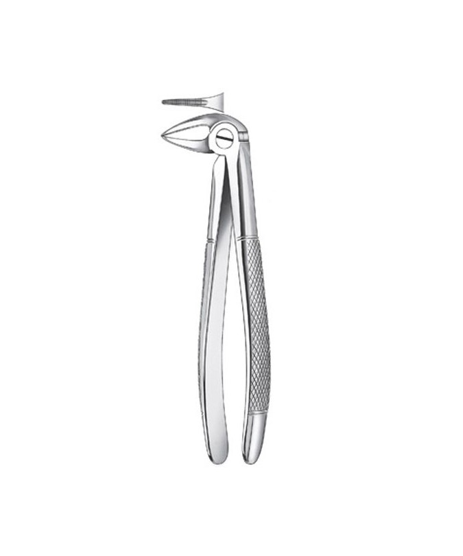 133 1/2 FORCEPS RAICES INFER.