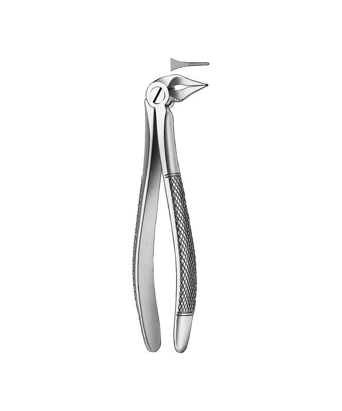 136 FORCEPS RAICES INFERIORES
