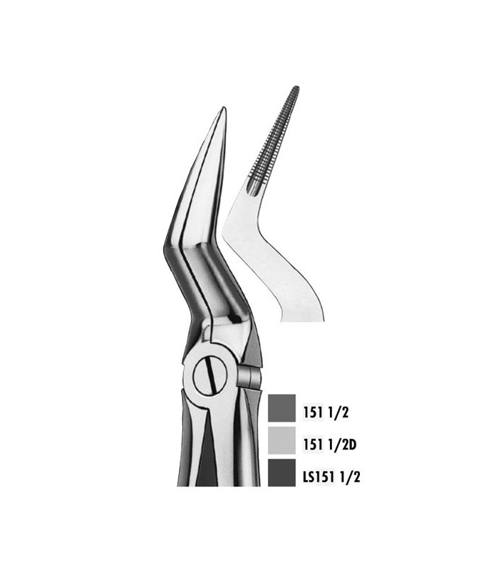 151 1/2 FORCEPS RAICES SUPERIO