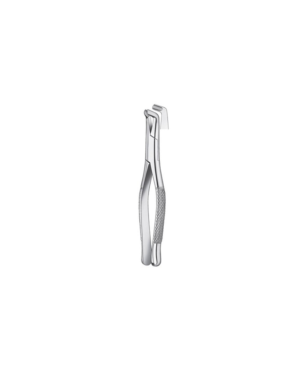 409/222 FORCEPS CORDALES INF.