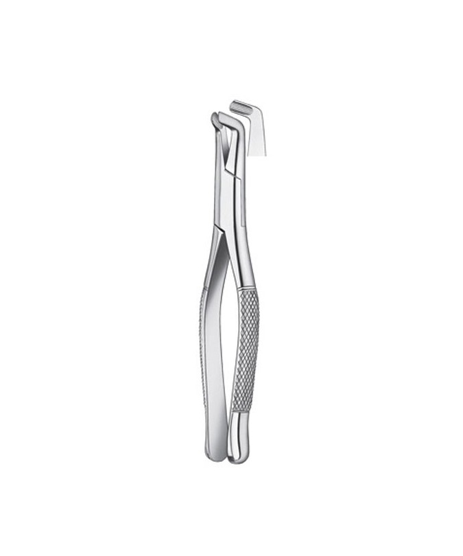 409/222 FORCEPS CORDALES INF.