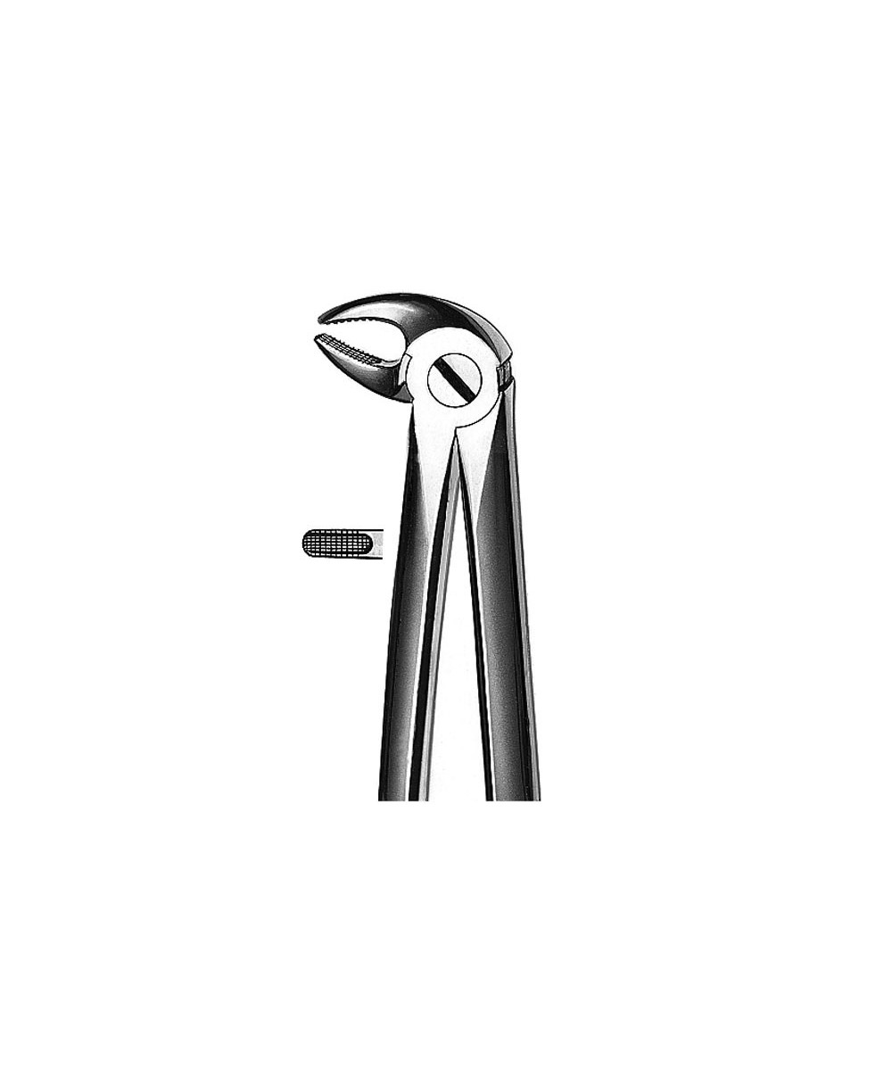 M2013 FORCEPS PREMOLARES INF.