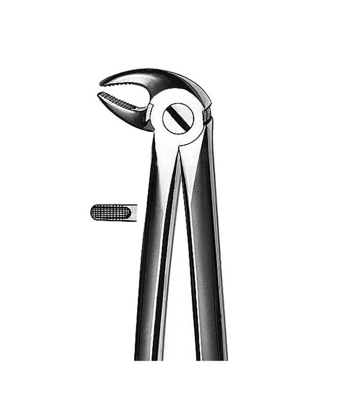 M2013 FORCEPS PREMOLARES INF.