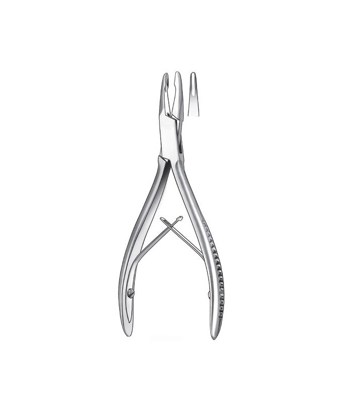 1830/1-14,5cm. GUBIA FRIEDMAN