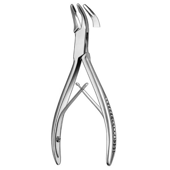 1830/3-14,5cm. GUBIA FRIEDMAN