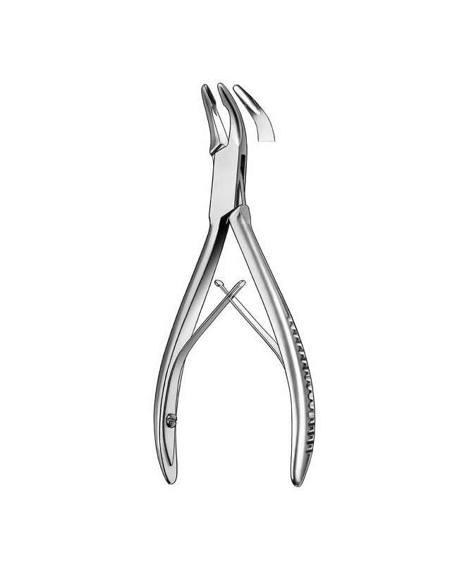 1830/3-14,5cm. GUBIA FRIEDMAN