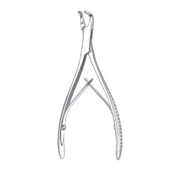 1828/14,5cm. GUBIA M-FRIEDMAN