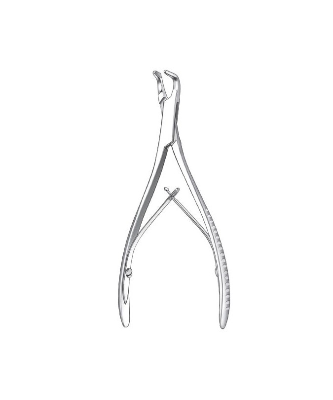 1828/14,5cm. GUBIA M-FRIEDMAN