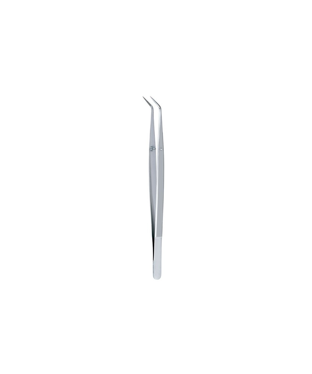 772DP/2 PINZA COLLEGE