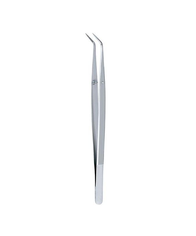 772DP/2 PINZA COLLEGE