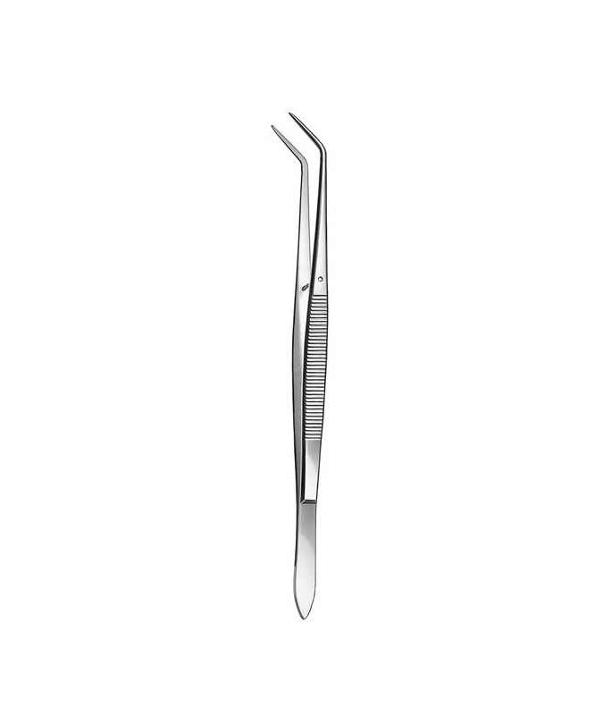 725/1-16cm. PINZA LISA FLAGG