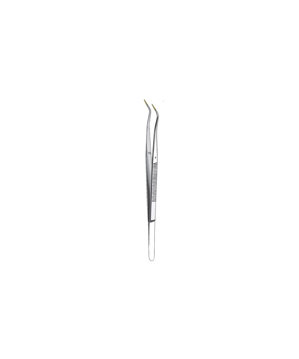 773CS/15cm PINZA