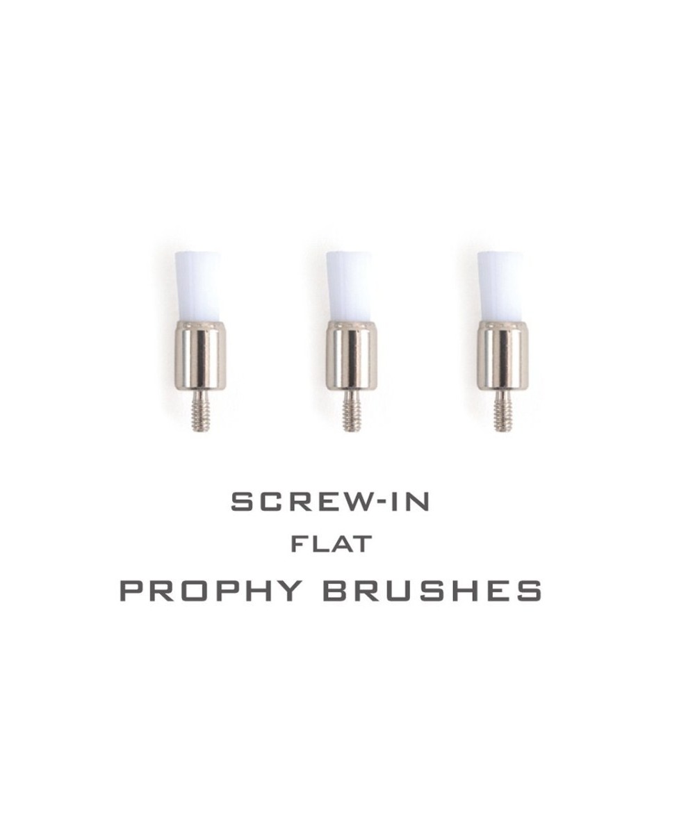 CEPILLOS PROFILAXIS ROSCA 100uds.