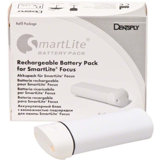 BATERIA SMARTLITE FOCUS