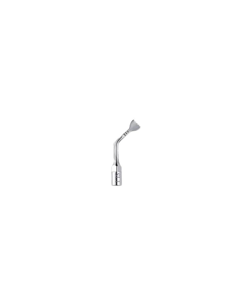 DS-101A PUNTA SL1