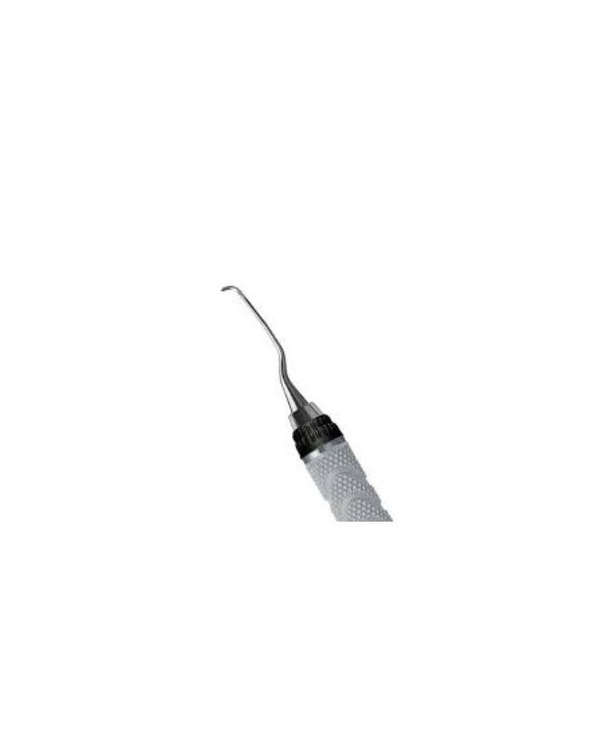 SAS11/12XE2 GRACEY MINI FIVE EE2 HDL HARMONY