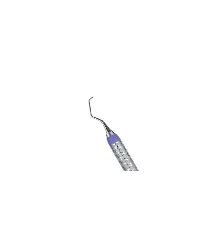 SG1/2XE2 GRACEY HARMONY ORAL/LABIAL