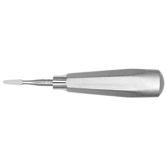 E11 ELEVADOR RAICES STOUT