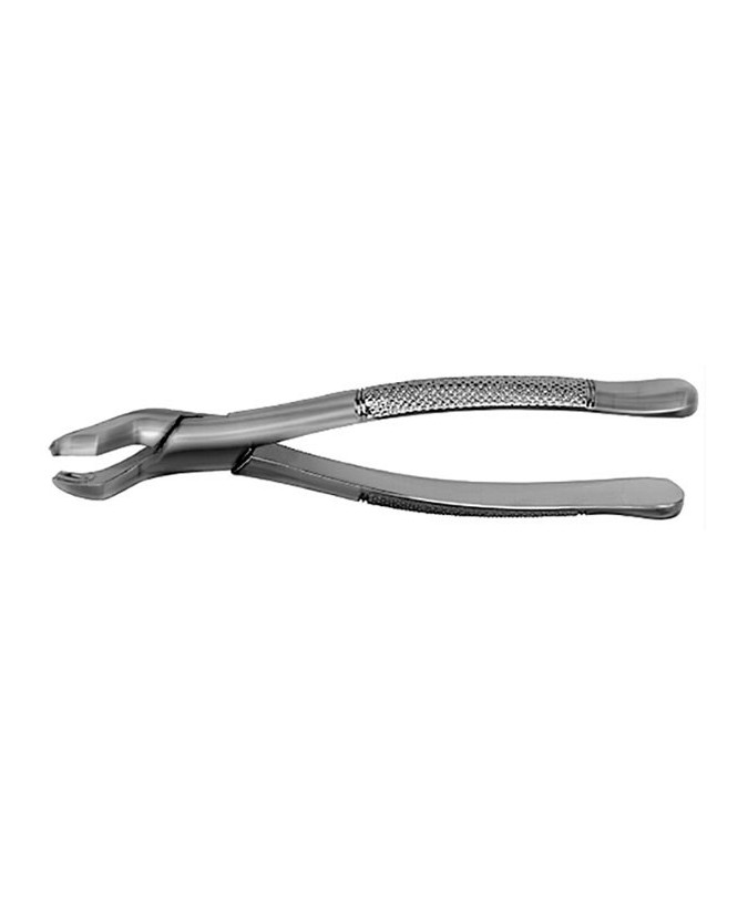 F53R FORCEPS MOLAR. SUP. DCHO.