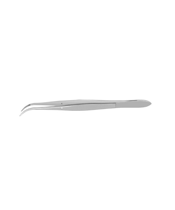 DP1 PINZA PERRY