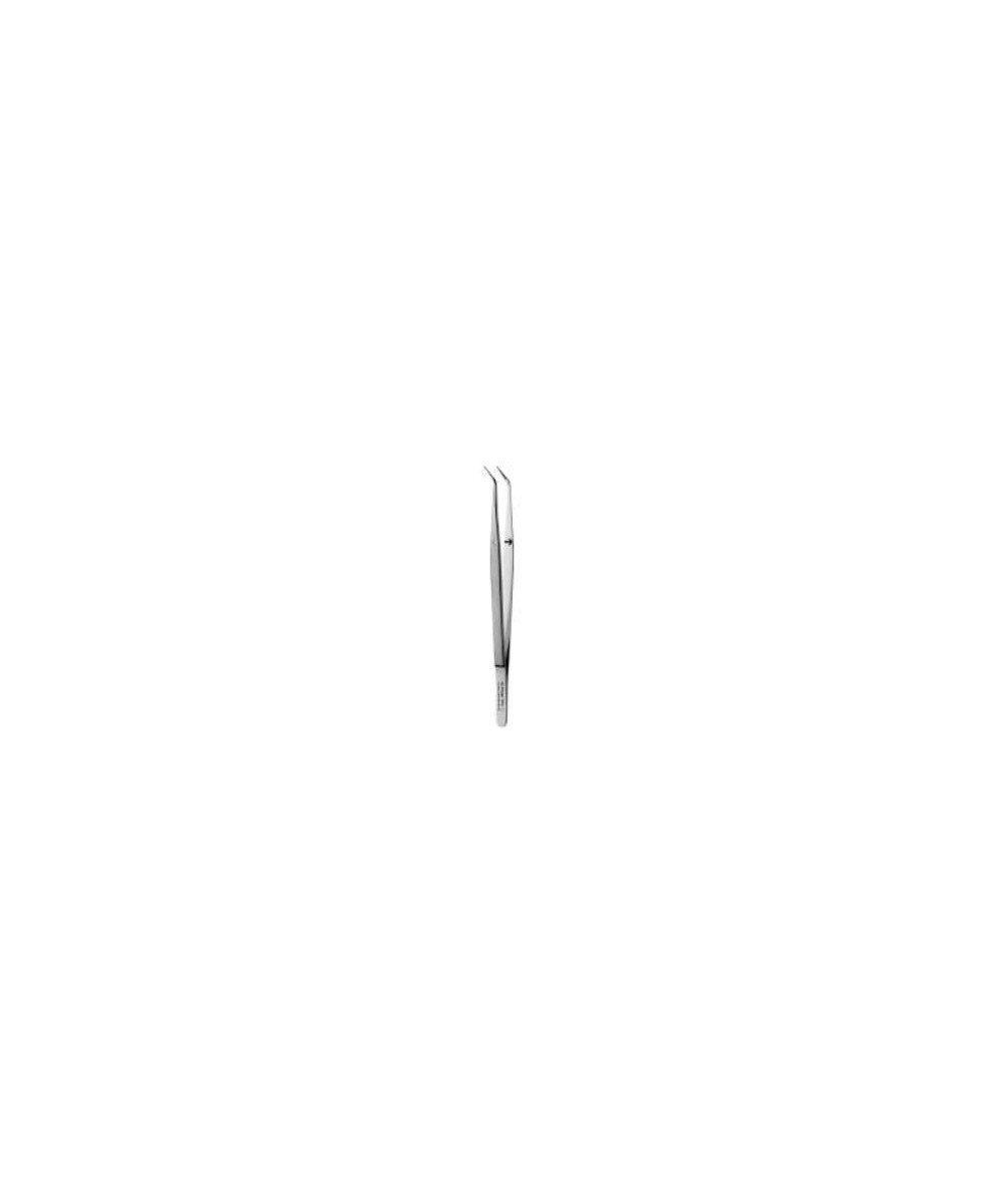 DP2 PINZA COLLEGE