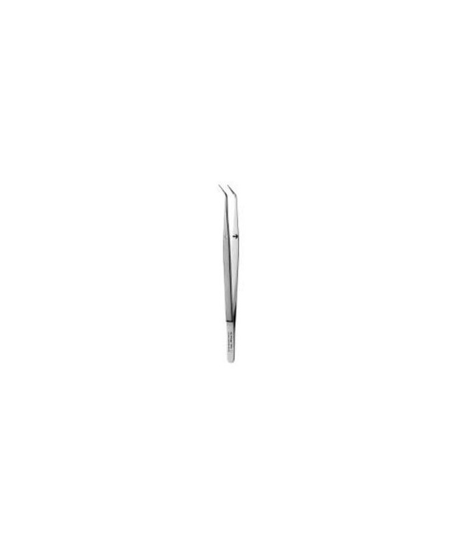 DP2 PINZA COLLEGE