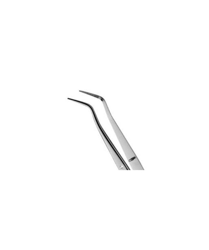 DP318 PINZA