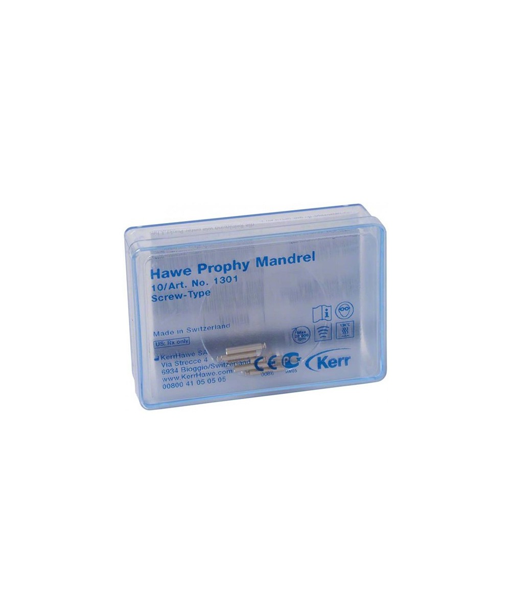 1301 MANDRIL SCREW-TYPE 10u.