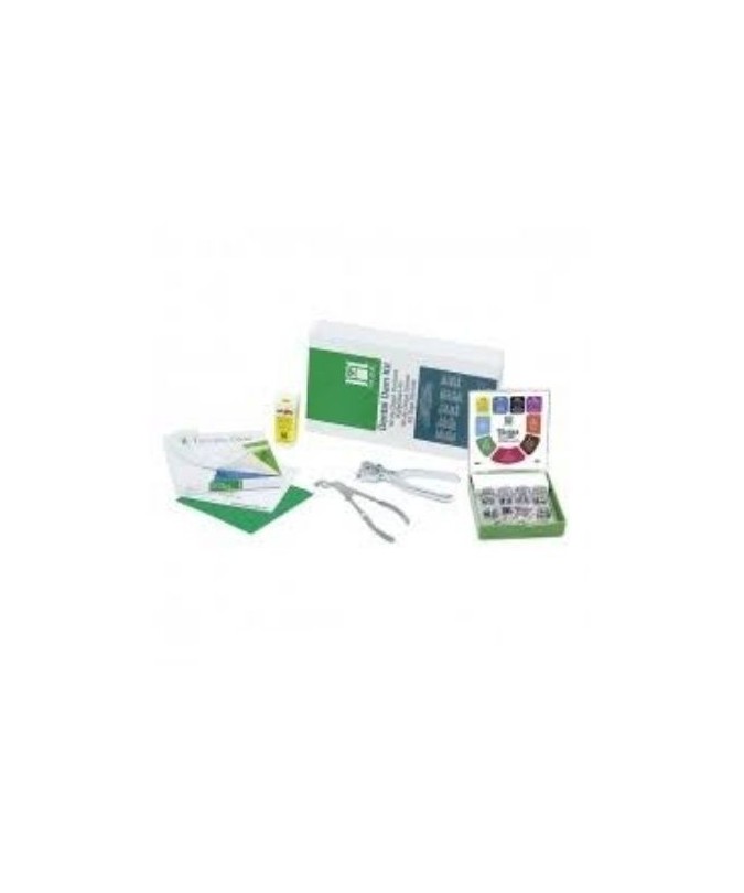 H02778 WINGED FIESTA KIT COMPLETO