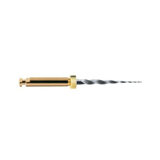 LIMAS PROTAPER GOLD SX 19mm. 6u. (A0410-X)