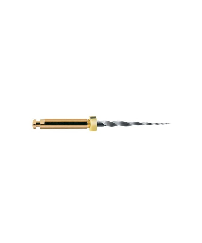 LIMAS PROTAPER GOLD SX 19mm. 6u. (A0410-X)