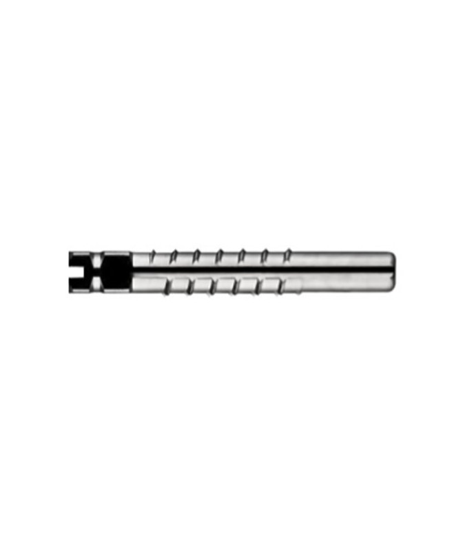 RS DADIX-STIFTE ESPIGAS RED. Nº1 12u. C0100