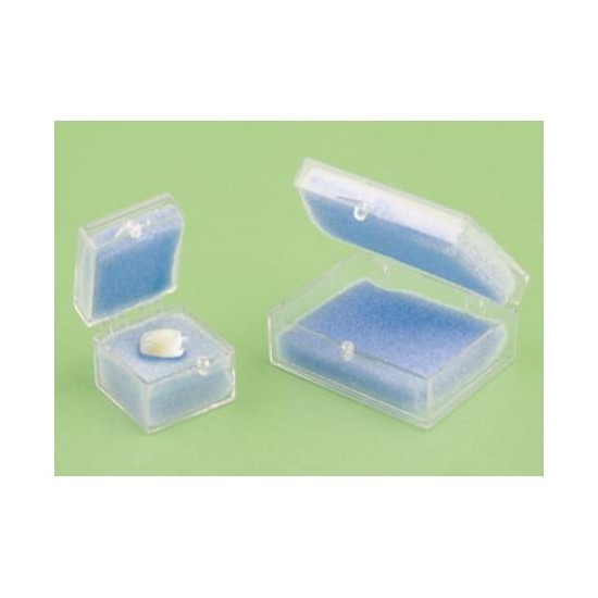 100255 CAJAS DE TRANSPORTE MODELOS PEQUEÑA 50u.