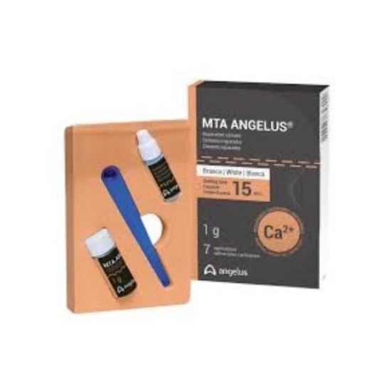 CEMENTO REPARADOR MTA GRIS ANGELUS 1gr.